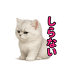 子ネコverペルシャ（個別スタンプ：34）