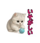 子ネコverペルシャ（個別スタンプ：35）