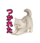 子ネコverペルシャ（個別スタンプ：36）