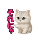 子ネコverペルシャ（個別スタンプ：39）