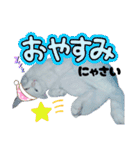 白猫（日本猫）の愛と幸運が溢れるスタンプ（個別スタンプ：1）