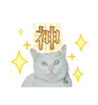 白猫（日本猫）の愛と幸運が溢れるスタンプ（個別スタンプ：19）