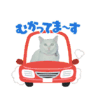 白猫（日本猫）の愛と幸運が溢れるスタンプ（個別スタンプ：38）