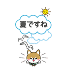 夏を感じる♡豆柴・柴犬スタンプ【BIG】（個別スタンプ：2）