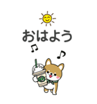 夏を感じる♡豆柴・柴犬スタンプ【BIG】（個別スタンプ：5）