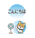 夏を感じる♡豆柴・柴犬スタンプ【BIG】（個別スタンプ：7）