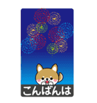 夏を感じる♡豆柴・柴犬スタンプ【BIG】（個別スタンプ：8）