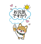 夏を感じる♡豆柴・柴犬スタンプ【BIG】（個別スタンプ：13）