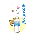 夏を感じる♡豆柴・柴犬スタンプ【BIG】（個別スタンプ：14）