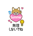 夏を感じる♡豆柴・柴犬スタンプ【BIG】（個別スタンプ：16）