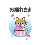 夏を感じる♡豆柴・柴犬スタンプ【BIG】（個別スタンプ：17）
