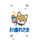夏を感じる♡豆柴・柴犬スタンプ【BIG】（個別スタンプ：18）