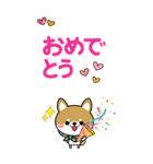夏を感じる♡豆柴・柴犬スタンプ【BIG】（個別スタンプ：21）