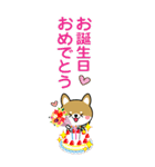 夏を感じる♡豆柴・柴犬スタンプ【BIG】（個別スタンプ：22）