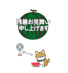 夏を感じる♡豆柴・柴犬スタンプ【BIG】（個別スタンプ：28）