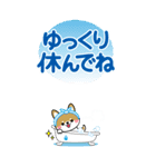 夏を感じる♡豆柴・柴犬スタンプ【BIG】（個別スタンプ：29）