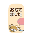 夏を感じる♡豆柴・柴犬スタンプ【BIG】（個別スタンプ：30）