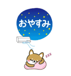 夏を感じる♡豆柴・柴犬スタンプ【BIG】（個別スタンプ：31）