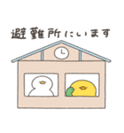 へんてこなアヒルの防災スタンプ（個別スタンプ：8）