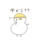 へんてこなアヒルの防災スタンプ（個別スタンプ：11）