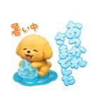 夏の日常★デカ文字★トイプードル（個別スタンプ：11）