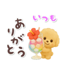 夏の日常★デカ文字★トイプードル（個別スタンプ：15）