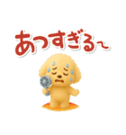 夏の日常★デカ文字★トイプードル（個別スタンプ：23）