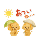 夏の日常★デカ文字★トイプードル（個別スタンプ：24）