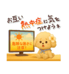 夏の日常★デカ文字★トイプードル（個別スタンプ：25）