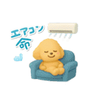 夏の日常★デカ文字★トイプードル（個別スタンプ：26）