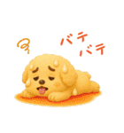 夏の日常★デカ文字★トイプードル（個別スタンプ：27）