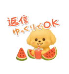 夏の日常★デカ文字★トイプードル（個別スタンプ：33）