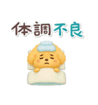 夏の日常★デカ文字★トイプードル（個別スタンプ：35）