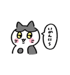 ゆる〜い地域猫のちびちゃん (遠州弁だに)（個別スタンプ：3）