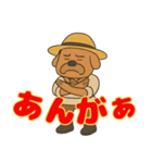 房州 おじさん犬（個別スタンプ：3）