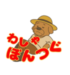 房州 おじさん犬（個別スタンプ：36）