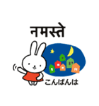 ウサギのメグ ヒンディー語・日本語編（個別スタンプ：17）