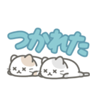 【デカ文字】敬語を忘れた猫（個別スタンプ：29）