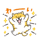 【有料版】しばんばん コラボ 10（個別スタンプ：8）