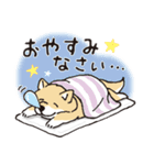 【有料版】しばんばん コラボ 10（個別スタンプ：13）