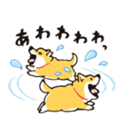 【有料版】しばんばん コラボ 10（個別スタンプ：16）