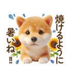 良く使う言葉の夏の柴犬- ̗̀ ☺︎  ̖́-（個別スタンプ：2）
