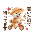 良く使う言葉の夏の柴犬- ̗̀ ☺︎  ̖́-（個別スタンプ：6）