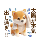 良く使う言葉の夏の柴犬- ̗̀ ☺︎  ̖́-（個別スタンプ：13）