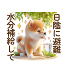 良く使う言葉の夏の柴犬- ̗̀ ☺︎  ̖́-（個別スタンプ：18）