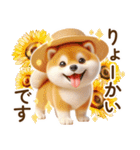 良く使う言葉の夏の柴犬- ̗̀ ☺︎  ̖́-（個別スタンプ：24）