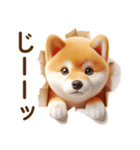 良く使う言葉の夏の柴犬- ̗̀ ☺︎  ̖́-（個別スタンプ：27）
