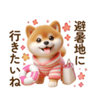 良く使う言葉の夏の柴犬- ̗̀ ☺︎  ̖́-（個別スタンプ：28）