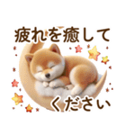 良く使う言葉の夏の柴犬- ̗̀ ☺︎  ̖́-（個別スタンプ：30）