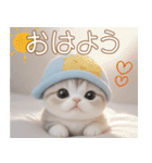 スコティッシュ猫 可愛い水色帽 優しい日常（個別スタンプ：1）
